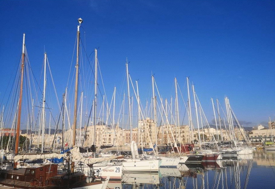Neuro - Brain & Spine MRI 2026